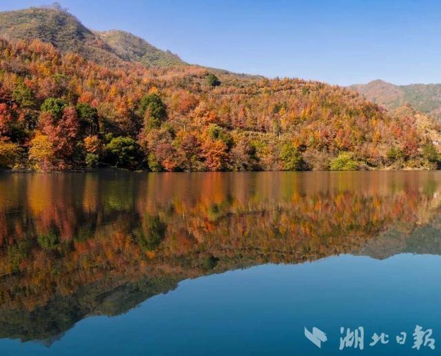 蕲春塔林的秋天，让人不愿离开