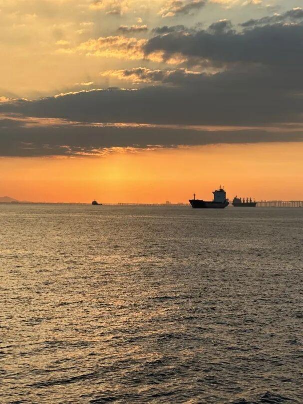 错峰游青岛轮渡，打卡火爆青岛的追鸥逐浪-橘子海航线！
