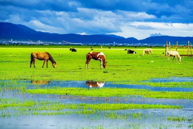 总有一天，你会来这找寻心中的日月丨云新闻·滇地宝藏⑬