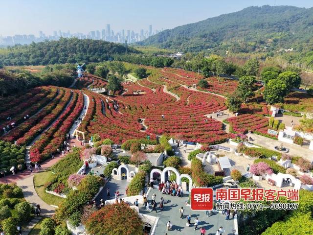 全国暖冬城市TOP3 ！南宁邀您共赴康养旅居之旅