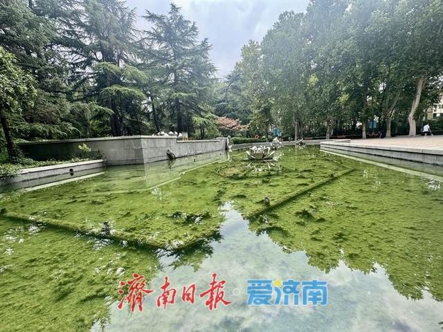 百花公园绿树成荫景如画 市民休闲好去处