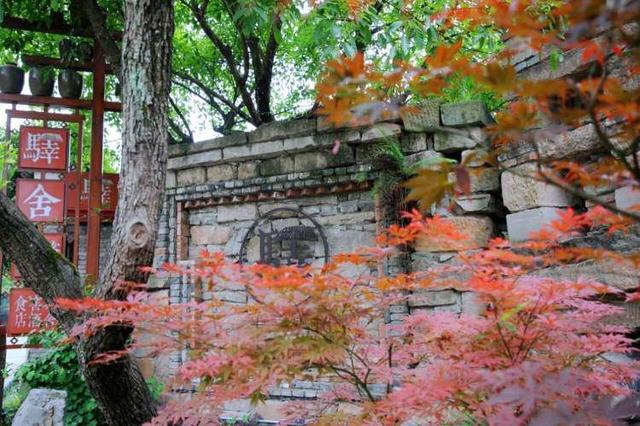 艺术+文化+生态 西部科学城重庆高新区绘就旅居经济新图景