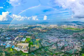 解码文化自信的城市样本丨文成武德自强心——解码岭南名城佛山的文化自信样本图片
