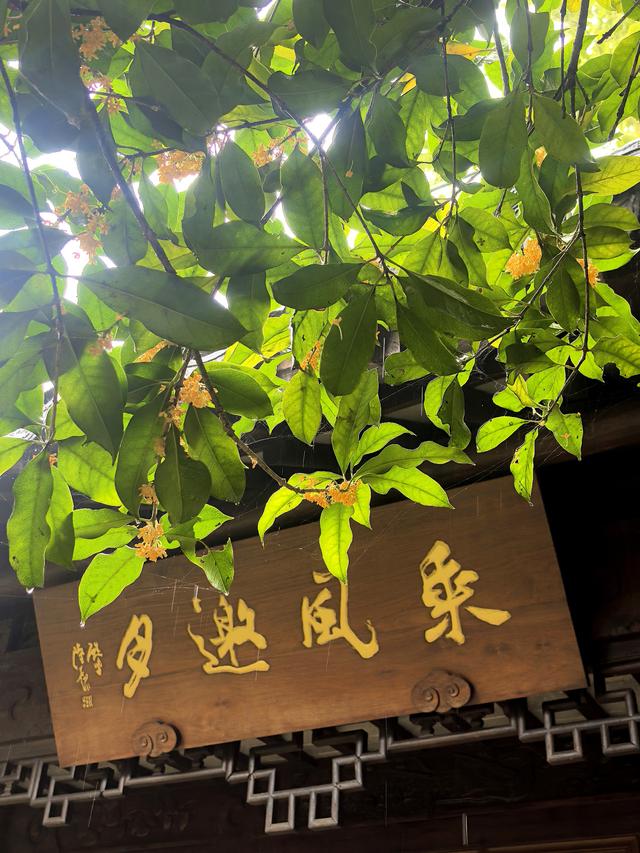 晚潮｜郭庄听雨