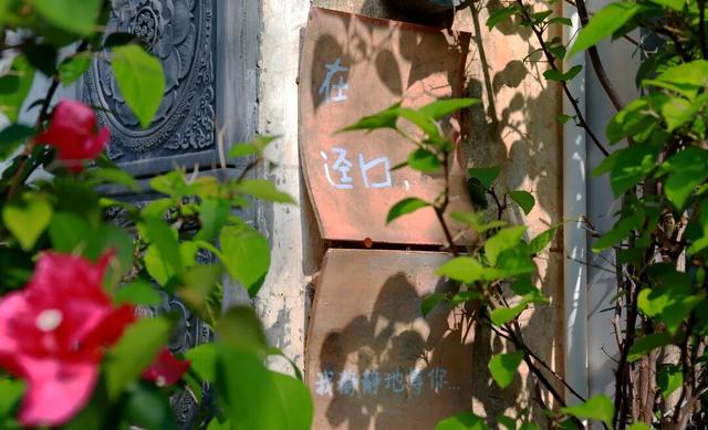 光明本土原创人文纪录片摘得国内纪录片最高奖