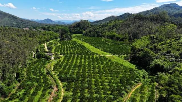 龙门3大景点焕新颜！从破旧到网红，这些景点有“颜”又有“料”