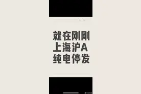 上海新能源车牌头段正式进入沪B 之前沪A全部号码已用完图片