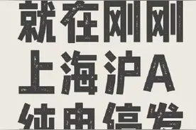 上海新能源车牌头段正式进入沪B 之前沪A全部号码已用完图片