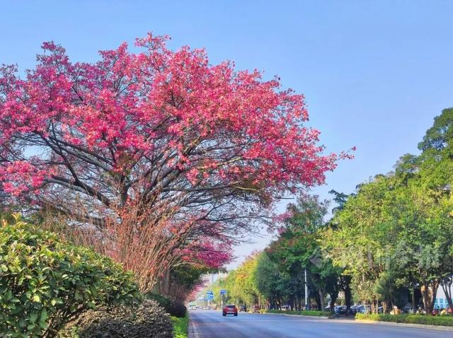 柳州，彩色刷屏！大反转也要来了！