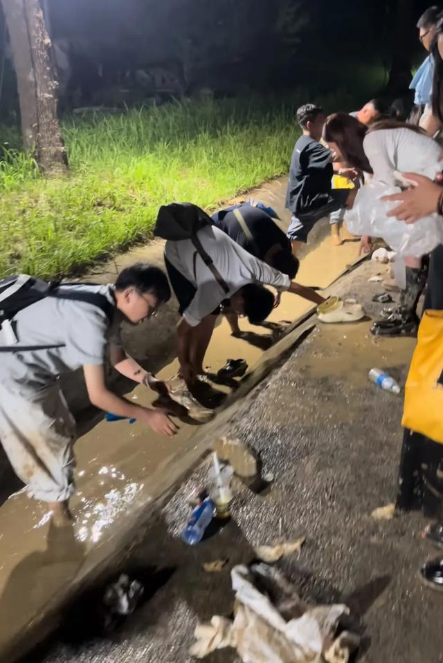 蚌埠龙湖音乐节满地泥巴还爬出甲鱼，游客成“兵马俑”自嘲来插秧，场地方致歉：一直下雨