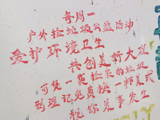 他们不是客人，是大理的“守护者”