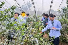 共享“莓”好时光！真情“妈妈”持续4年护航春蕾女童成长图片