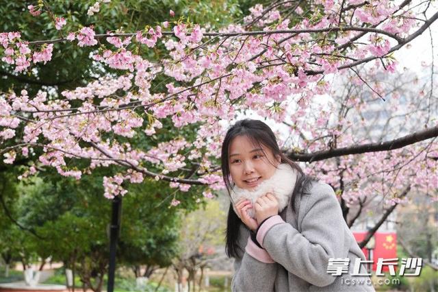 又是一年樱花季 长沙绝美樱花等你来打卡 | 花漾长沙