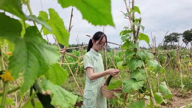 别EMO啦！治愈夏天的良药在这里→