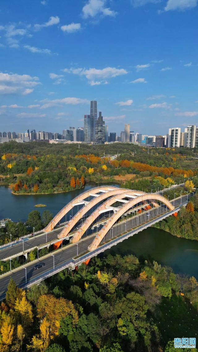 这含“金”量，不摆啦！贵阳的秋天，谁懂？