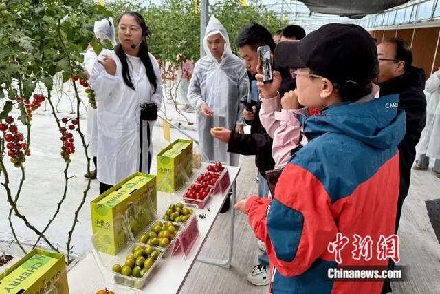 人这一辈子，一定要来宁夏见证“籽籽同心”的力量！