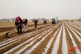 泾川：抓时抢“墒”备春耕 田间地头覆膜忙图片