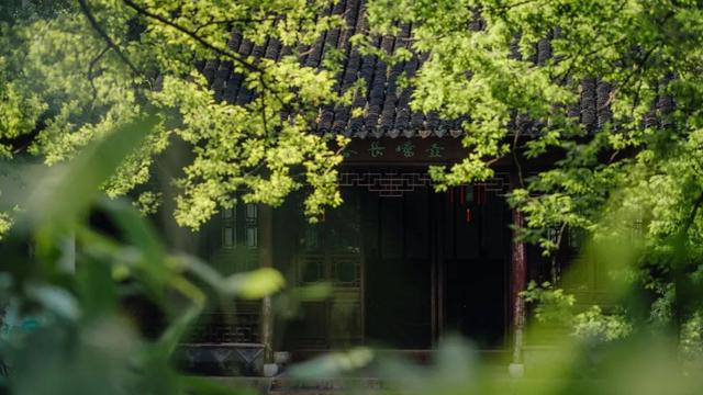 快来嘉定的“避暑山庄”，浸透一园清凉！