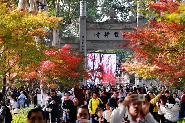 “CHUA”的一下，65%！