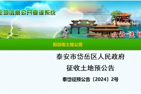 泰安这个村的土地拟被征收！补偿标准公布→图片