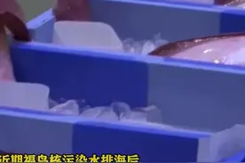 日本2亿头海参滞销 养殖户诉苦:此前99%销往中国图片