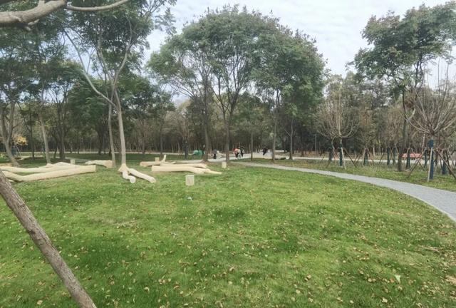 花海、儿童乐园、骑行步道……嘉定将新添一座公园，开放时间↗