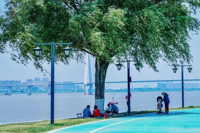 免费+市区！武汉这5 处宝藏露营地，地铁可达