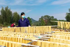 腐竹飘香  开出致富花图片