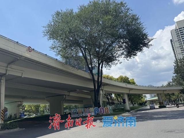 初秋“上新”！济南燕山立交桥下景致迷人
