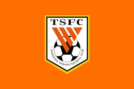 体坛：济南文旅总经理王学军现场观看了山东泰山队备战图片