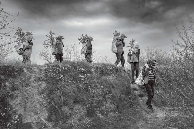 西海固：汗土上的新生