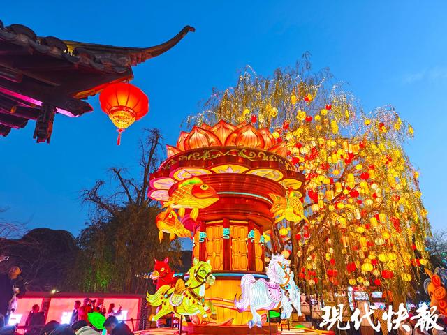 “东风夜放花千树”具象化了，一眼千年的浪漫正在南京上演