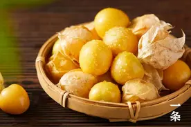 金灿灿的菇娘果，产自黑龙江“硒都”，自带奶香，脆甜爆浆！图片