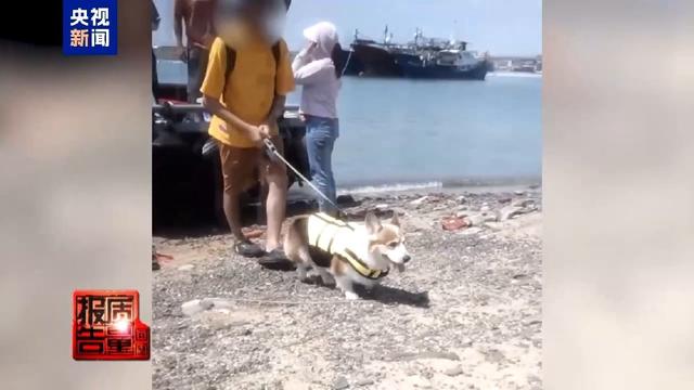 非法包船登岛成公开生意 揭露无人岛旅游乱象