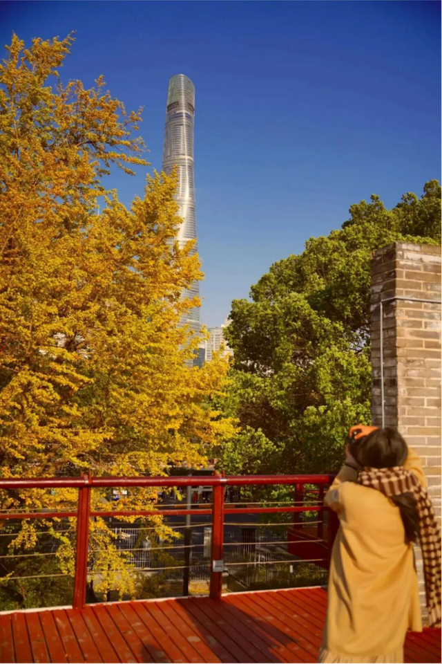 上海市中心又一公园拆除围墙！内藏明城墙和宝藏机位！怎么还有个“灶披间”？