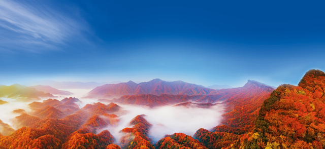 北北第一次推荐：湖北以外的打卡地