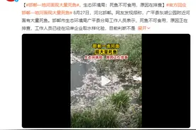 邯郸一地河面现大量死鱼 生态环境局：死鱼不可食用，原因在排查图片