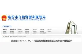 规划出炉！临沂这个片区将有大变化图片