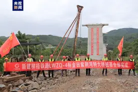 关键性进展！柳梧铁路金田紫荆河特大桥桩基全部完成图片