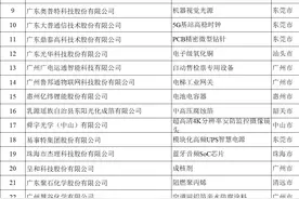 广东入选61家！第八批国家级制造业单项冠军企业公示图片