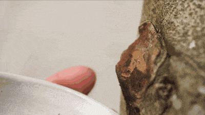 真不懂，为啥现在的明星和有钱人都偏爱这个“烂木头”？