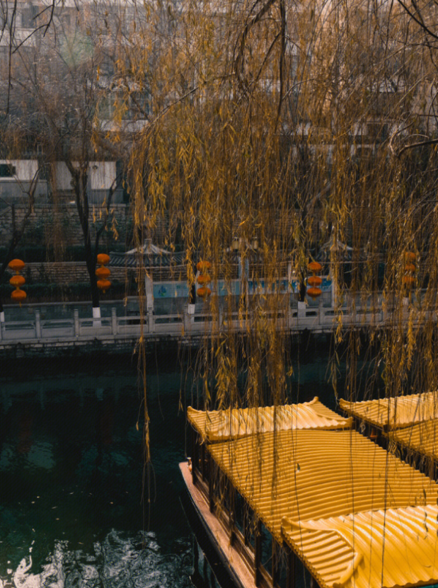 冬日的济南护城河泉水悠悠，如诗如画