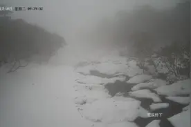 昆明轿子山春季再迎飞雪 杜鹃花季即将惊艳登场图片