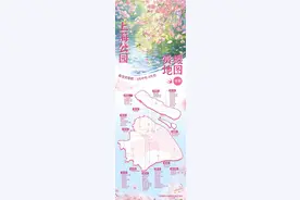 上海开启梦幻“樱花季” 全城赏樱地图出炉图片