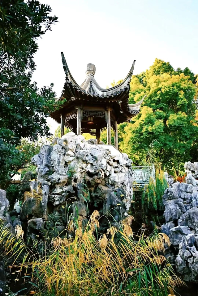 这个元旦假期，把时光“浪费”在秦淮最美的园子里~