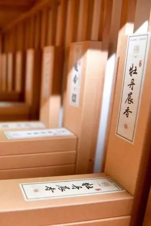 起猛了，我在洛阳被「牡丹」包围了！