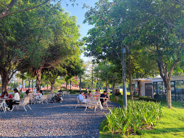 古桥新生，水乡焕彩！杏坛如何让600年历史“活”在当下？｜蝶变·新生——顺德十镇街“百千万工程”成效巡展⑥