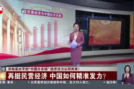 目标高水平的“中国大市场”经济活力从何而来？再挺民营经济 中国如何精准发力？视频封面