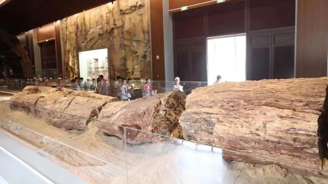 德州这一景区，本周末免费入园！