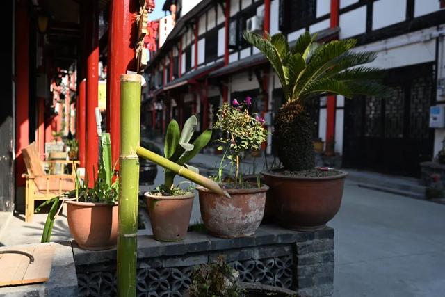 抢票式晒太阳！解码彭州“限量版暖阳”的私藏地图